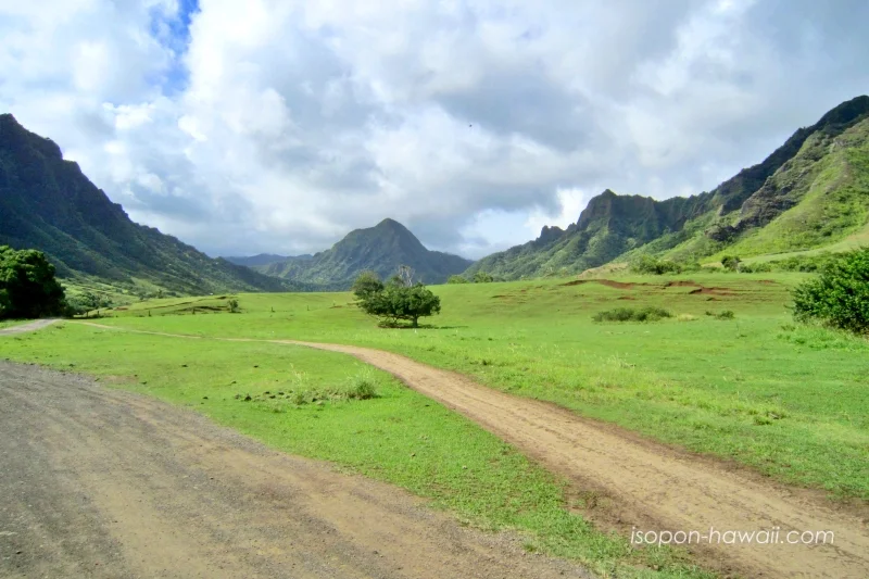 クアロアランチの風景
