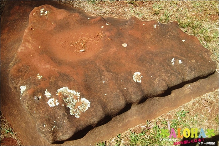 クカニロコバースストーン オアフ島型の石