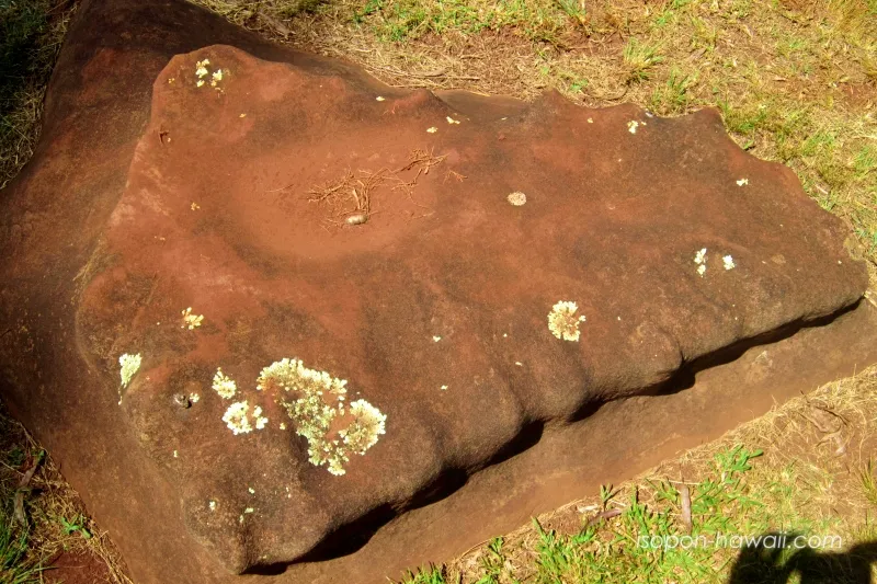 クカニロコバースストーン オアフ島のような形をした石