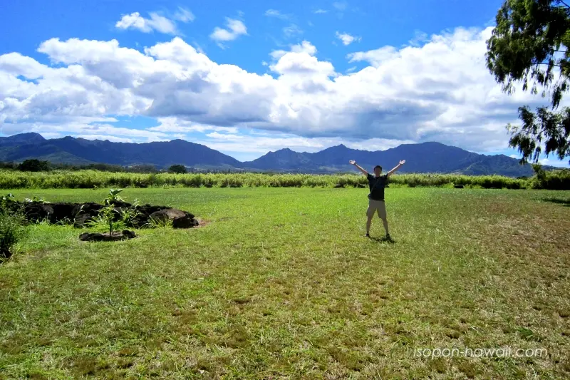 クカニロコバースストーン 自然のエネルギー