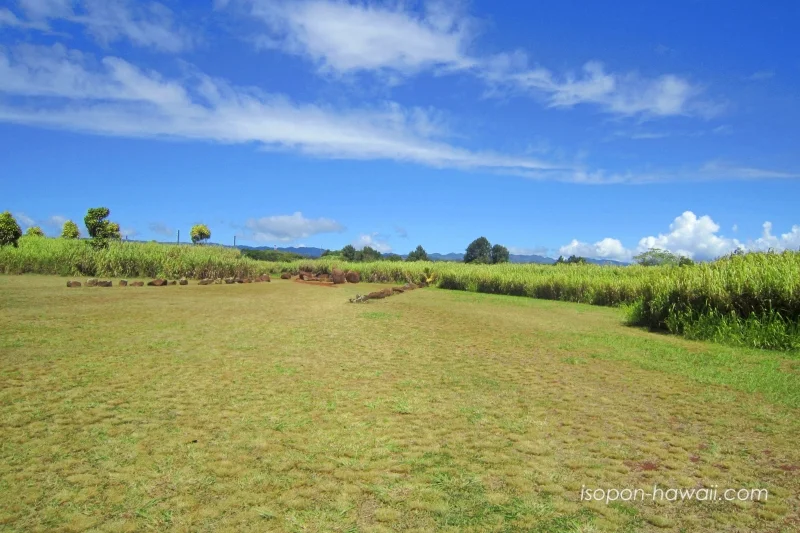 クカニロコバースストーン 自然のエネルギー