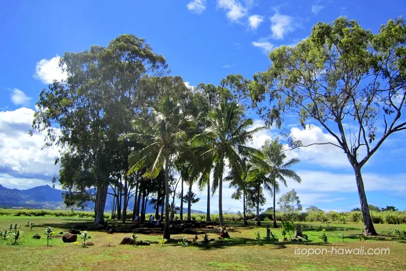 2014年当時のクカニロコ・バースストーンを囲む景色