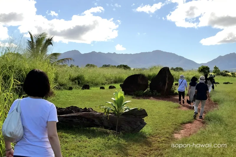 大きな石に向かって歩くつまぽん