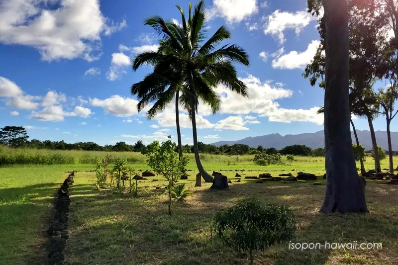 クカニロコ・バースストーンの風景 木と青空