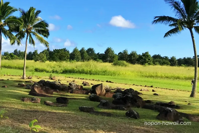 クカニロコ・バースストーンと数々の石