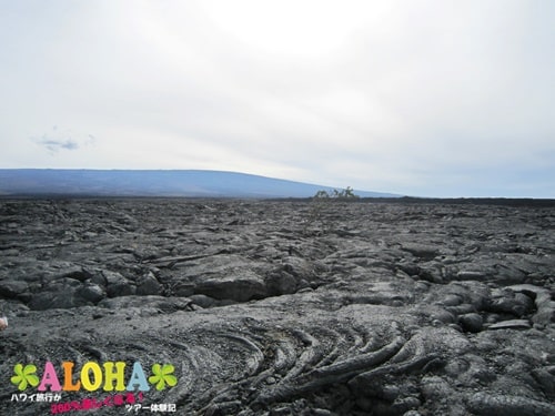 ハワイ島溶岩台地