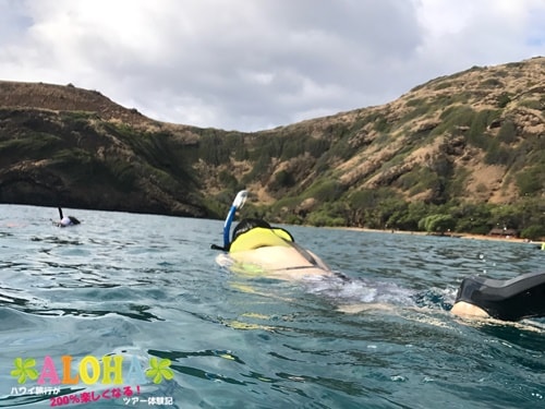 ハナウマ湾でシュノーケリング 個人で行く方法と注意点まとめ いそぽんハワイ ハワイ旅行が200 楽しくなるツアー体験記