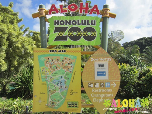 ホノルル動物園 の感想は 良かった点 悪かった点と園内画像を紹介 いそぽんハワイ ハワイ旅行が0 楽しくなるツアー体験記