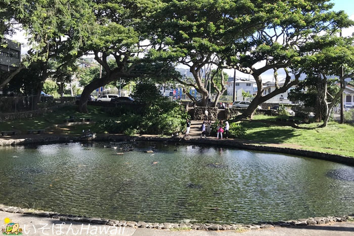 クナワイの泉の風景