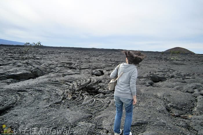 マウナケア手前にある広大な溶岩台地