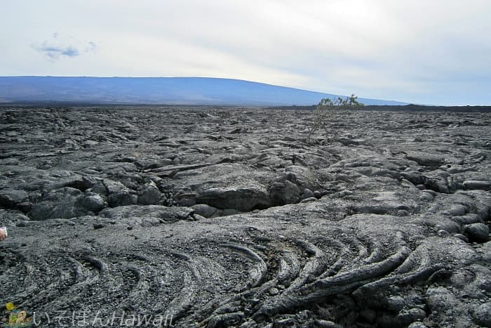 マウナケア手前にある溶岩台地で撮ったパホエホエ溶岩