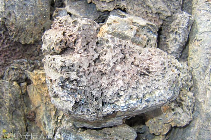 マウナケア手前にある溶岩台地で撮ったアア溶岩