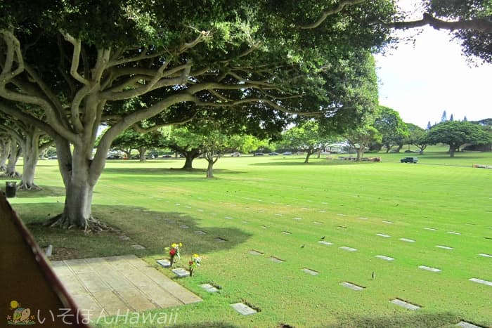パンチボウル国立太平洋記念墓地3