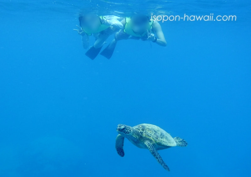 ハナウマ湾でウミガメと一緒に泳ぐ新婚カップル
