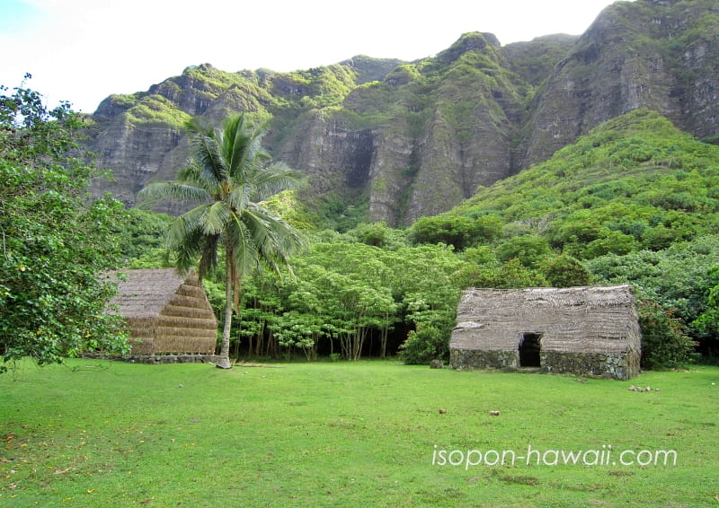 クアロア・ランチ映画ロケ地ツアー「昔のハワイの家」