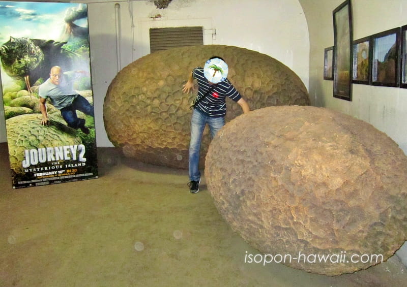 クアロア・ランチ映画ロケ地ツアー「センター・オブ・ジ・アース2」のポスターと大きな卵といそぽん