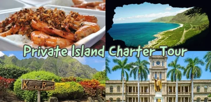 アロアロトラベル プライベートチャーターツアー