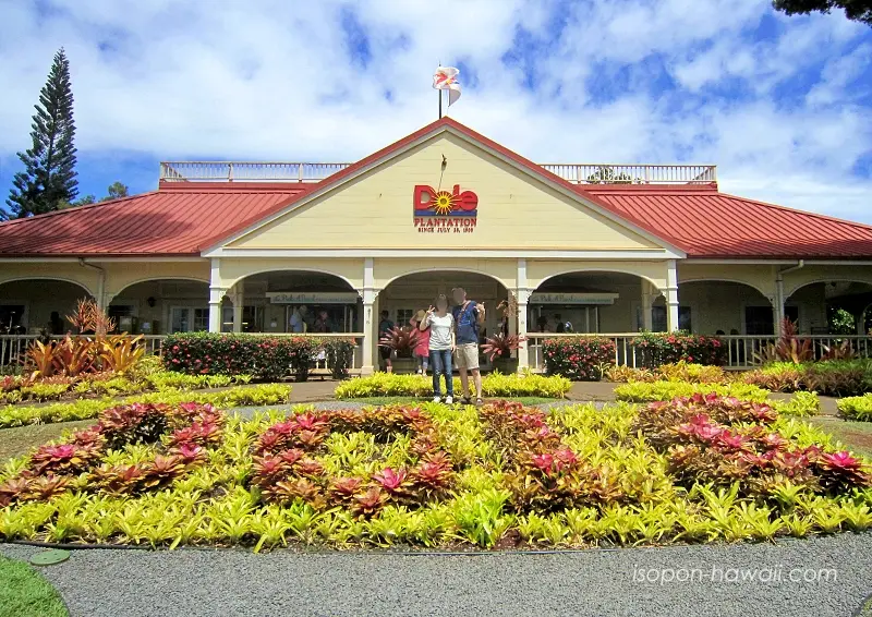 ドールプランテーション正面の記念写真 いそぽんとつまぽん