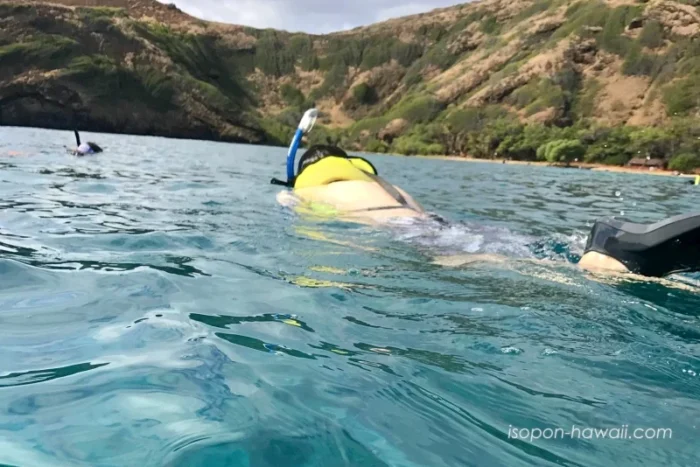 ハナウマ湾でシュノーケル中のいそぽん