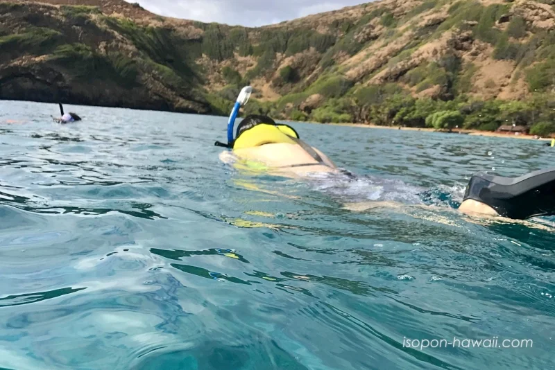 ハナウマ湾でシュノーケル中のいそぽん