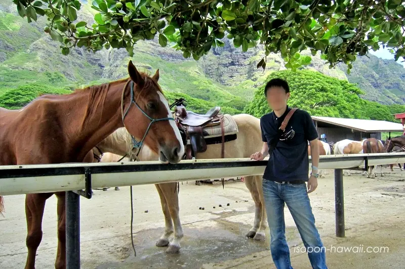 クアロアランチの馬と記念写真