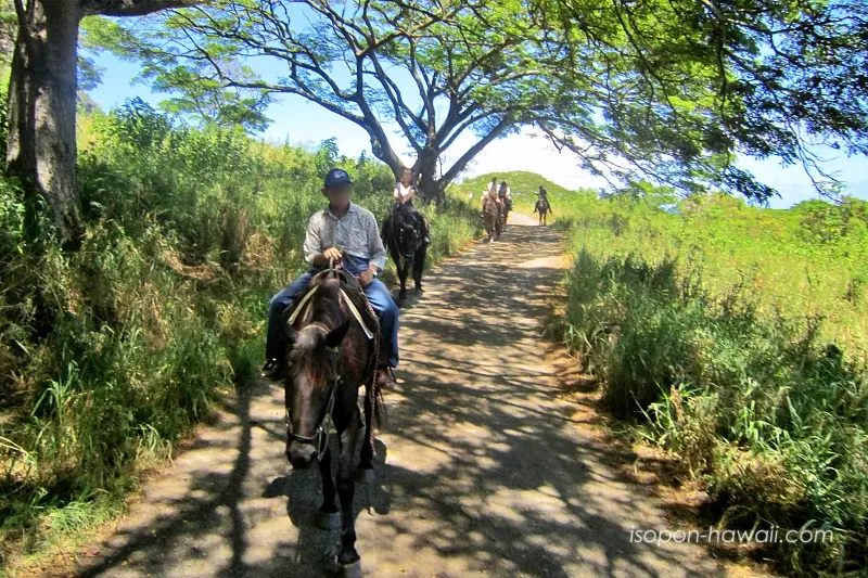 乗馬中のツアー参加者