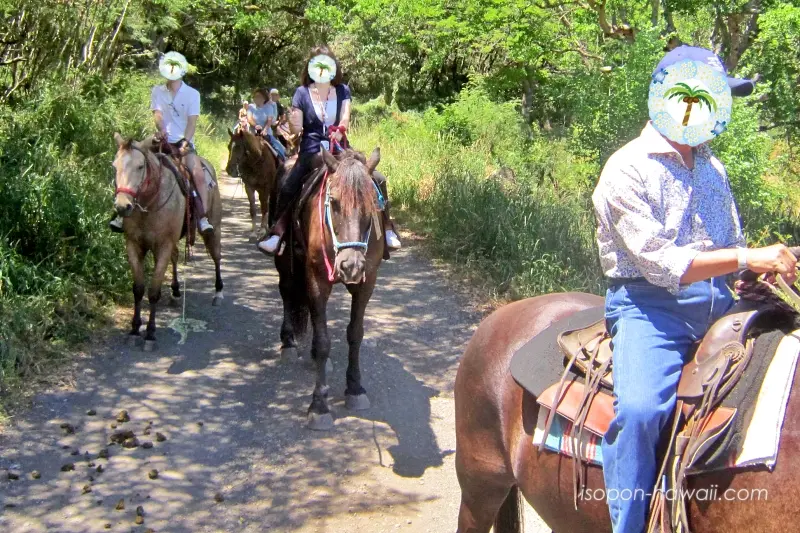 いつの間にか後ろの馬に追いつかれた