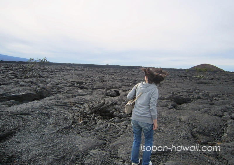 ハワイ島 マウナケア近くの溶岩台地に立つつまぽん
