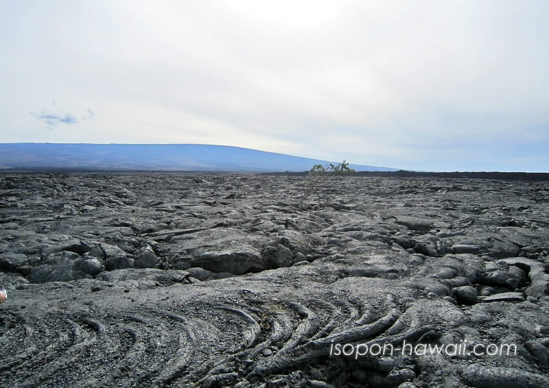 マウナケア近くの溶岩台地 うねった跡がある 奥にはマウナロア山が見える
