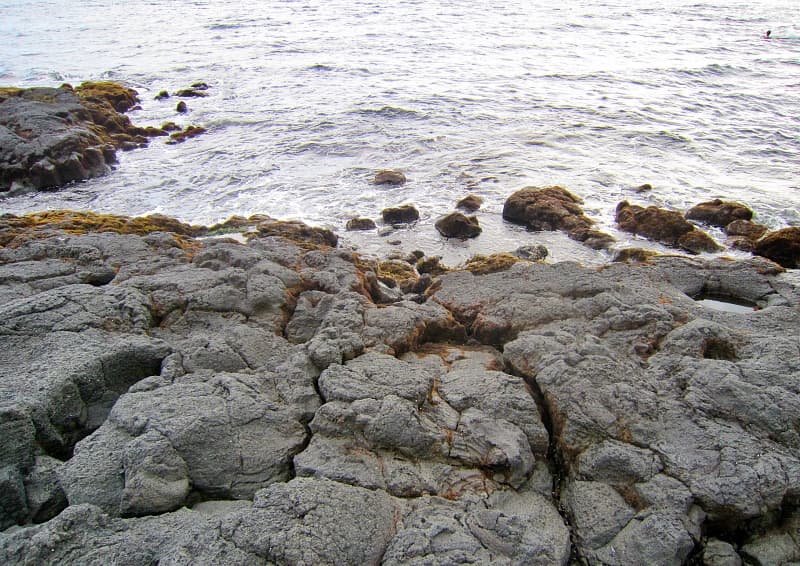 プナルウ黒砂海岸の岩場 写真の右上にウミガメの頭が見えている