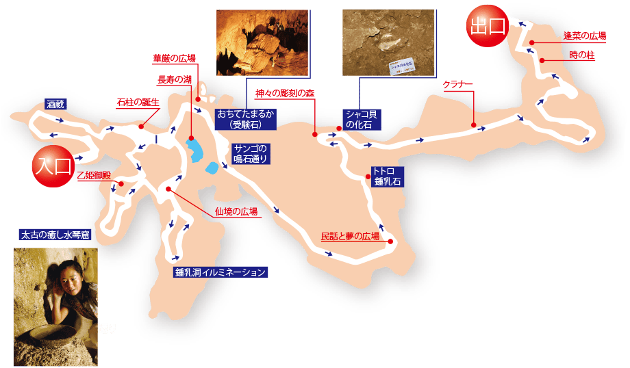 石垣島鍾乳洞の内部マップ