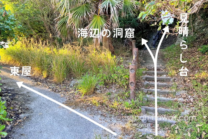 観音崎 見晴らし台に向かう階段との分かれ道