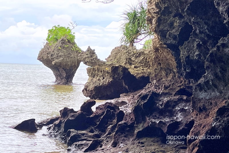 サビチ洞の亀岩とキノコ岩