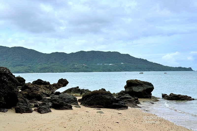 海岸に打ち上がった岩