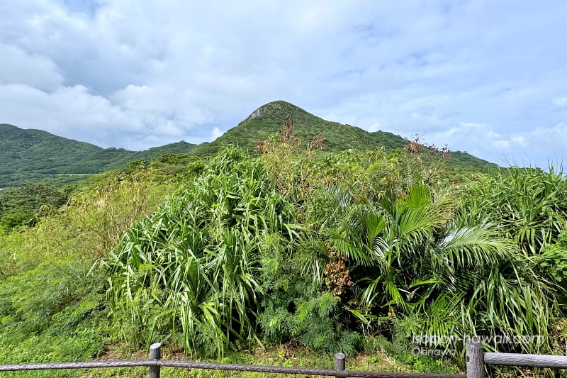 玉取崎展望台からの北の景色 金武岳が見える