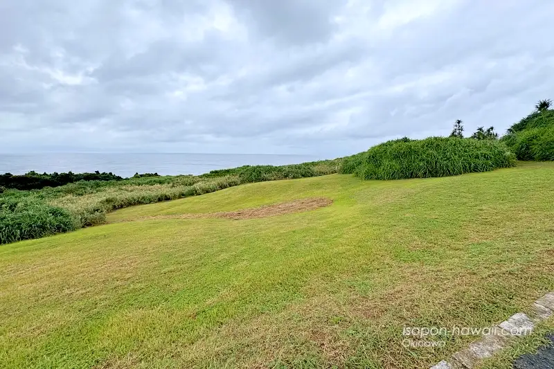 御神崎の遊歩道左側の景色、草原が広がりその向こうに海が見えている