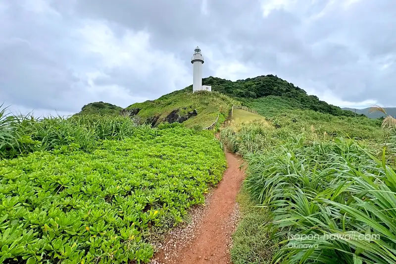 小道の奥に御神埼灯台 空と道以外は植物で覆われている