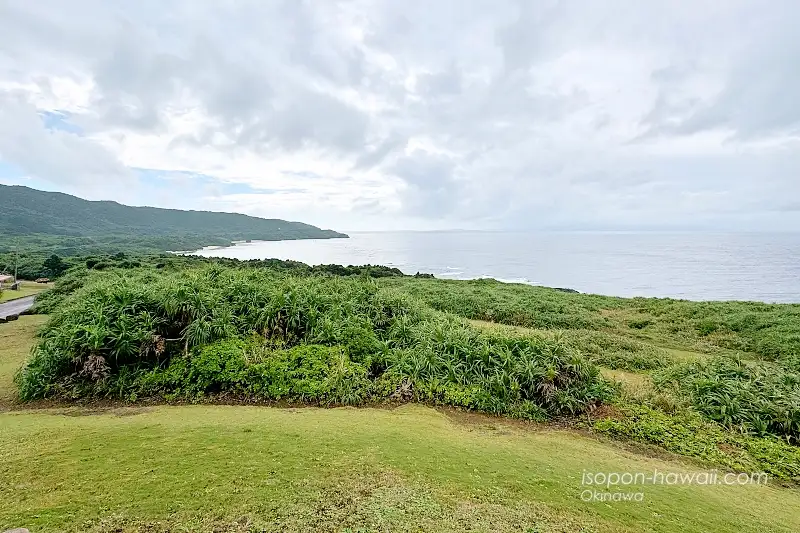 御神崎の草原と海