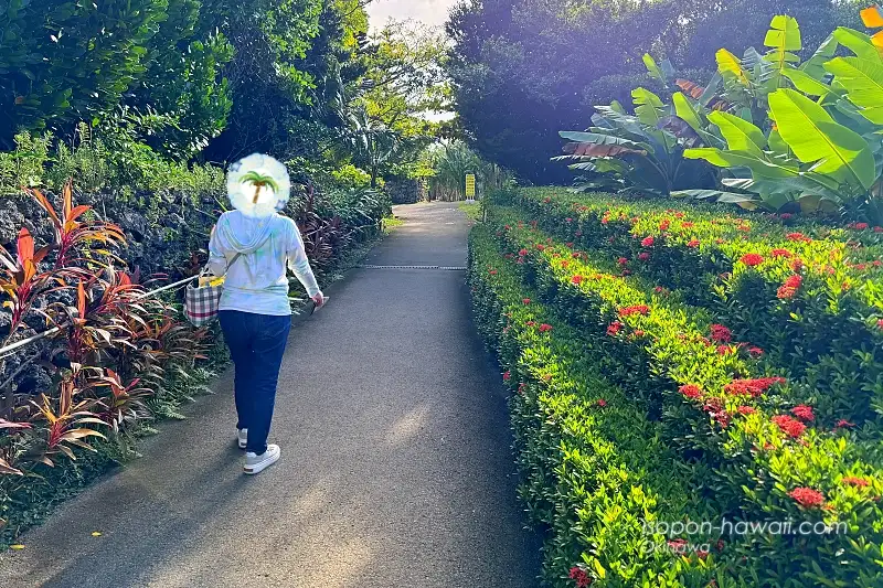 やいま村:園内を散策するつまぽん