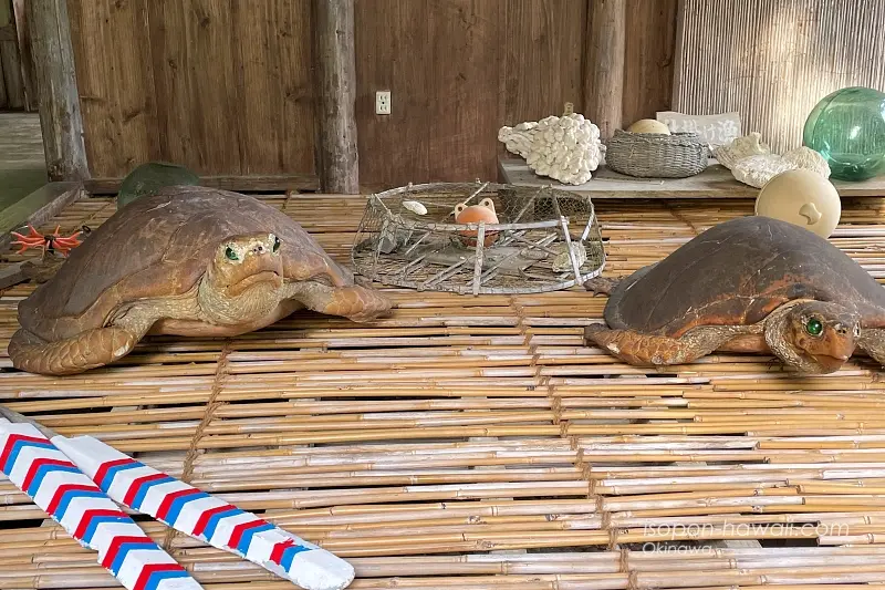 やいま村:海人の家の中 ウミガメのはく製が2体並んでいる
