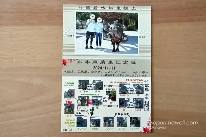 水牛車乗車記念証 水牛との記念写真も付いている