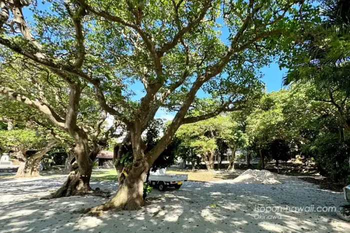 世持御嶽の広場