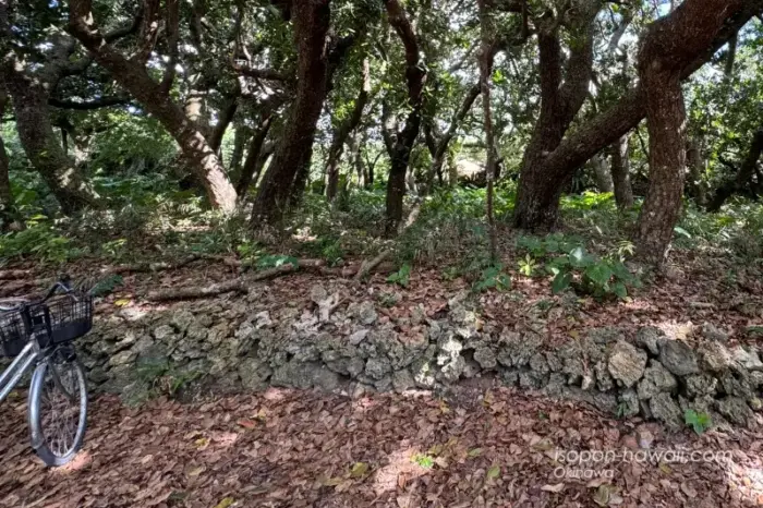 竹富島 蔵元跡