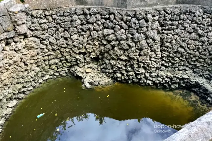 仲筋井戸の中 水が濁っている