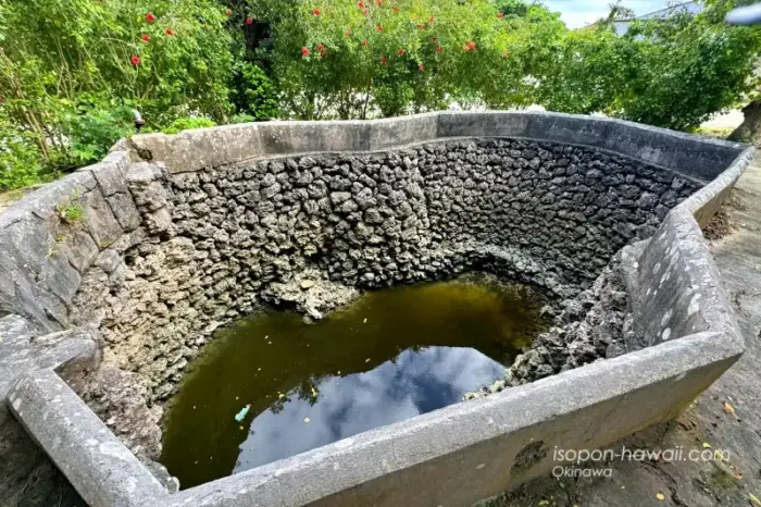 仲筋井戸を上から覗き込んだ画像