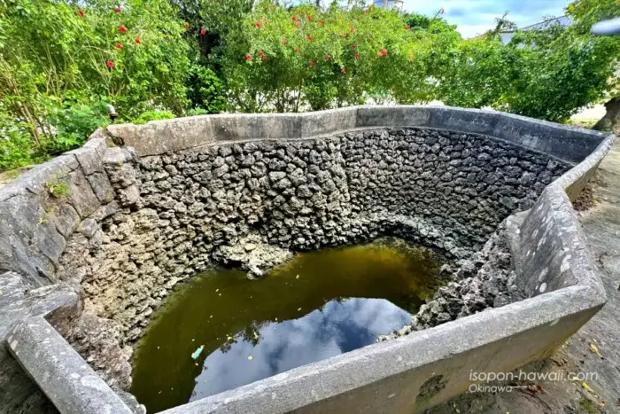 仲筋井戸の全体