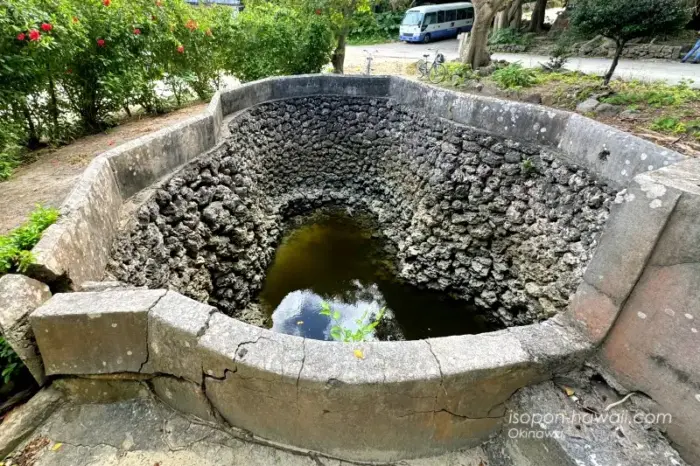 仲筋井戸の全体像