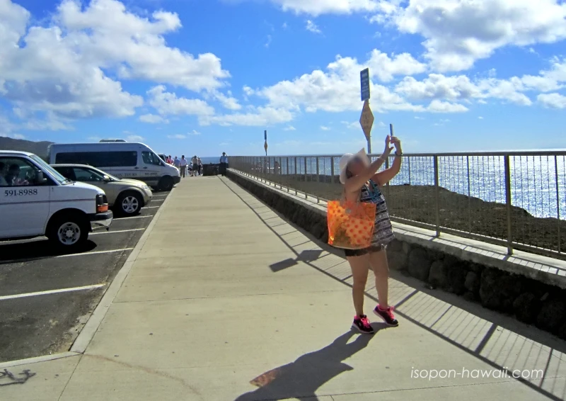 ハロナ潮吹き岩の展望台