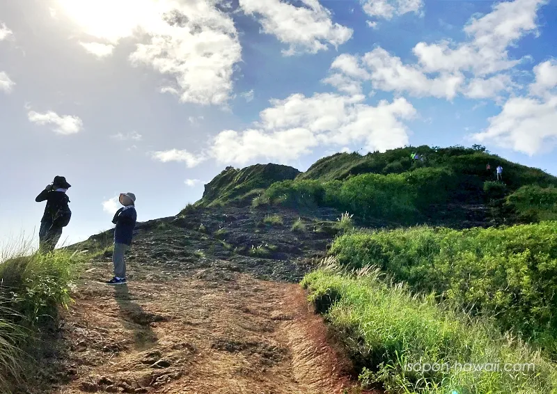 ラニカイピルボックストレイルの途中で景色を見ている人たち