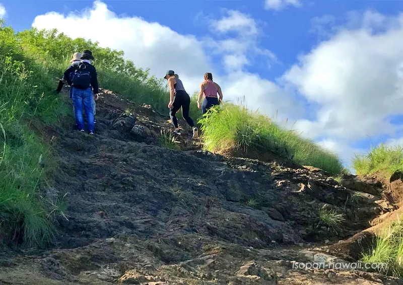 対照的な服装をしている2組